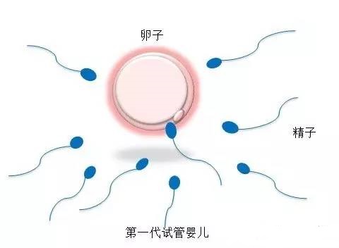 承济医学中心环境